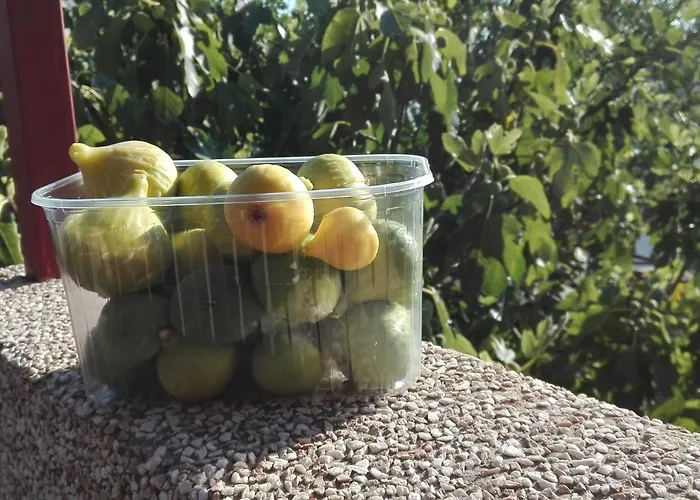 Mit Balkon Und Meerblick By Interhome *