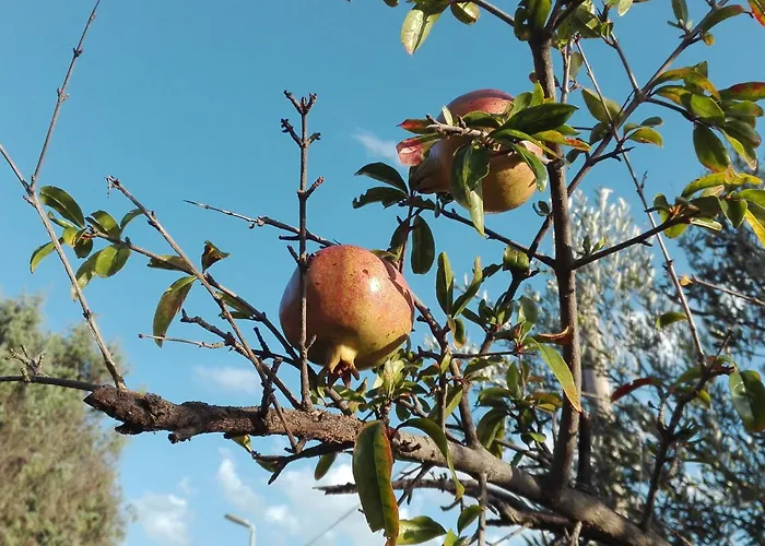 Mit Balkon Und Meerblick By Interhome Appartement *